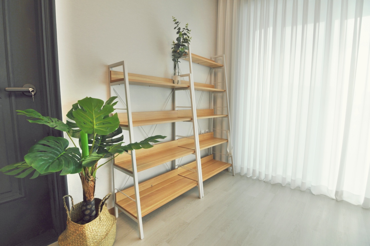 branch-image-1
